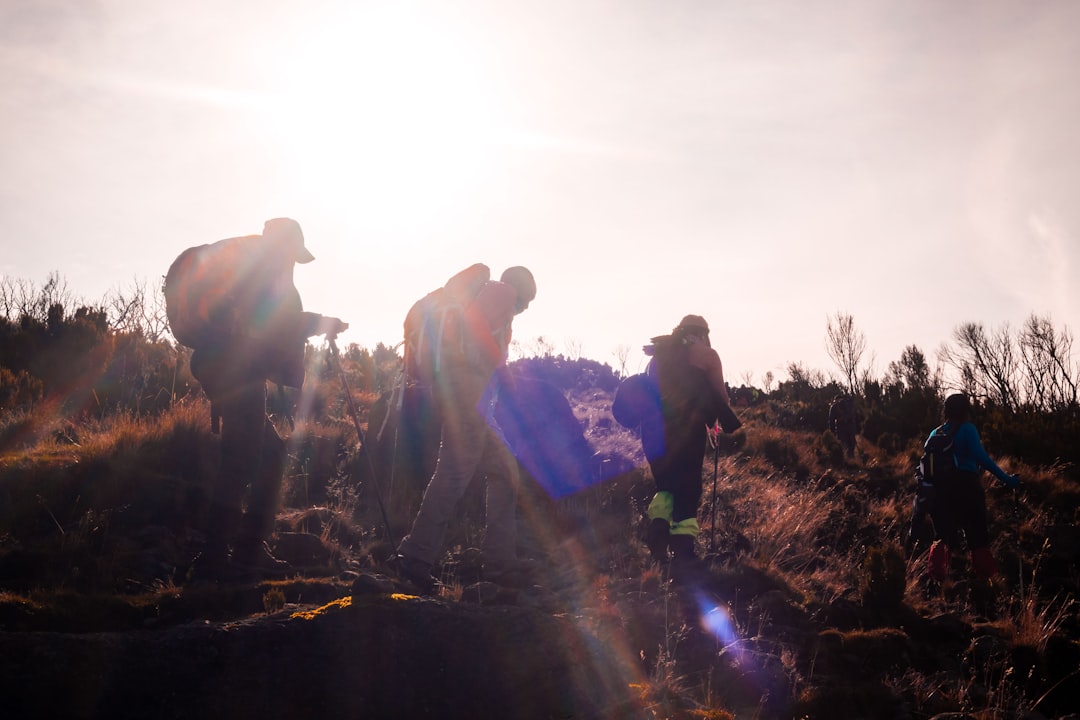 🥾 Ever Wondered How to Start Bushwalking on the Great Ocean Road? First-Timer’s Ultimate Guide!