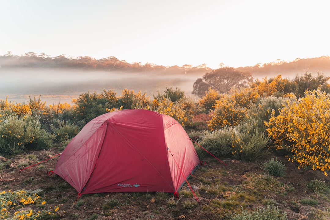 The Ultimate Australian Hiking Guide | Tips, Locations & More