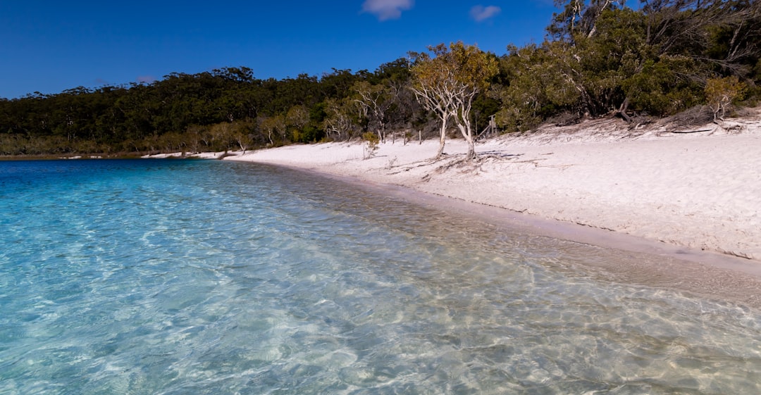 🌌 Ever Wondered What It’s Like to Stargaze on Fraser Island? My Honest Take After 3 Nights!