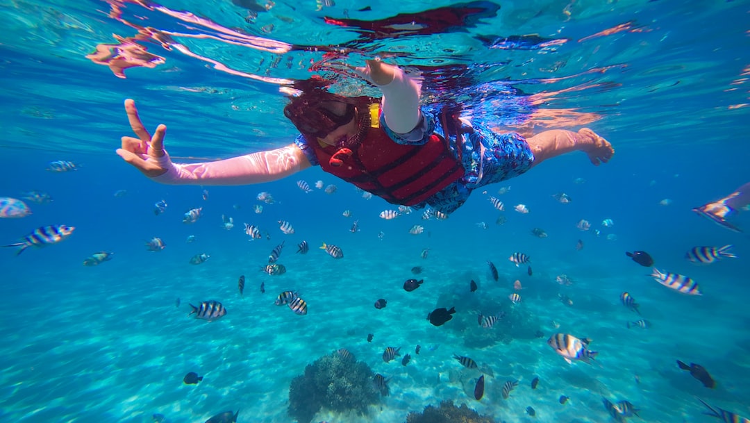 🤿 Over 30 species of reef fish await! Your Snorkeling 101 Guide 🦈