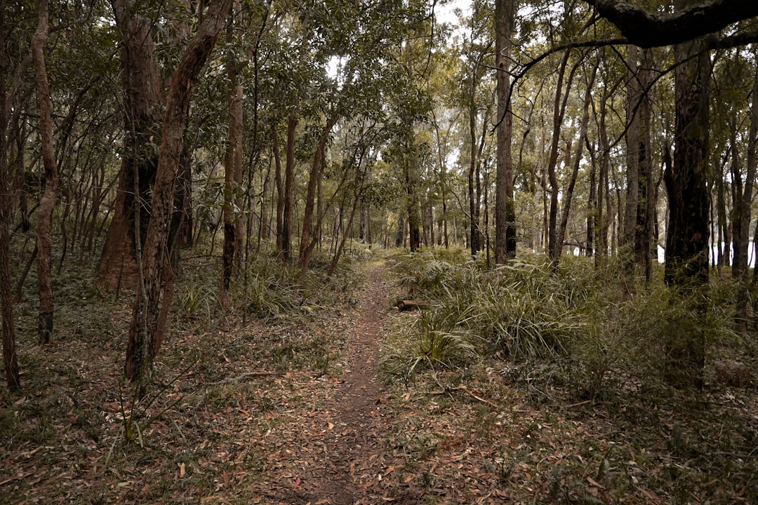 Trail Running Australia: The Definitive Resource