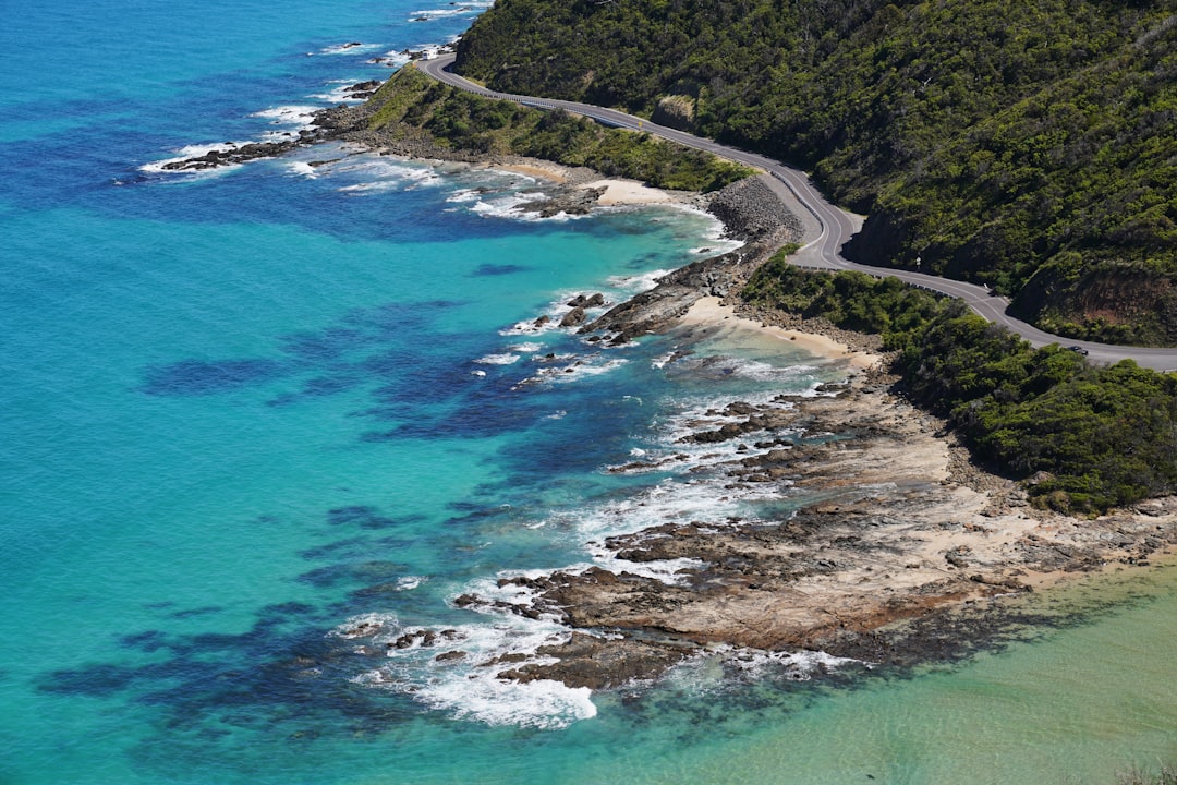 🥾 First Time Hiking Great Ocean Road? Don’t Stress – I’ve Got You Covered! 🌊