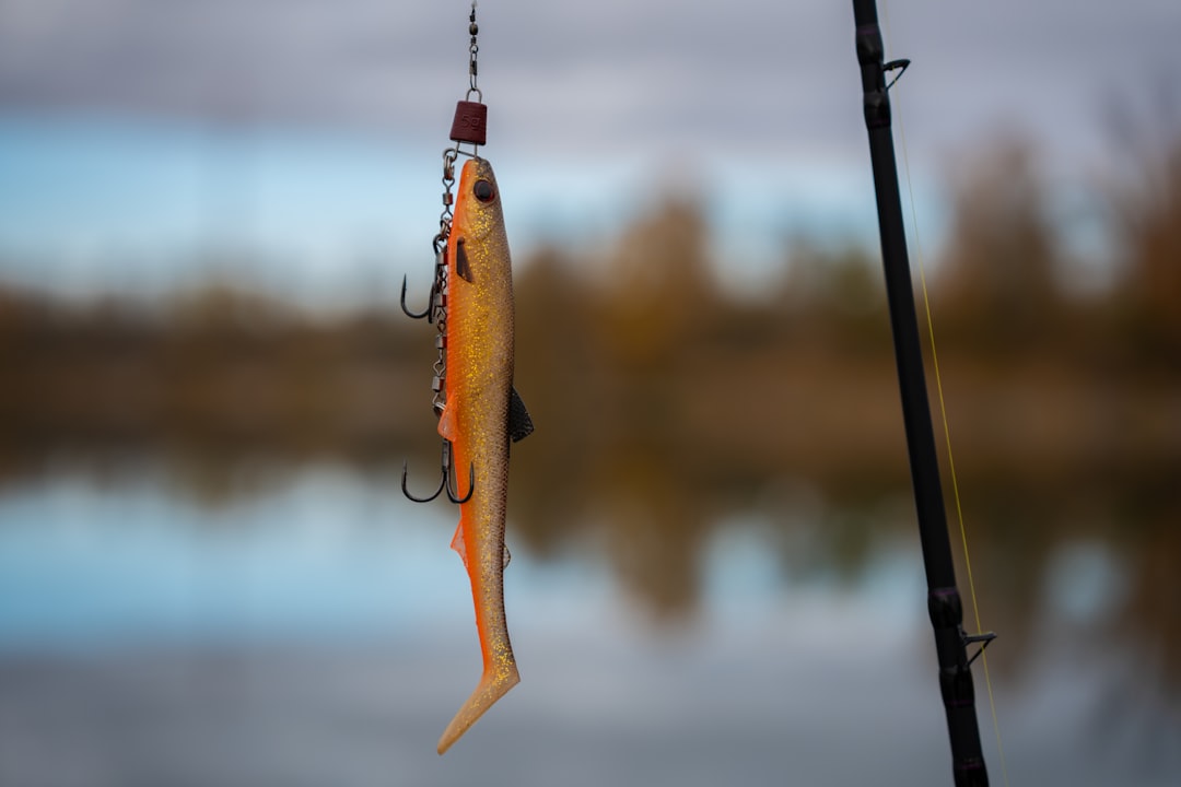 Best Time for Freshwater Fishing in Australia | Monthly Breakdown