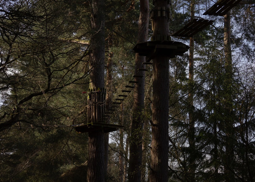 How to Plan Obstacle Courses in Greater Sydney | Step-by-Step