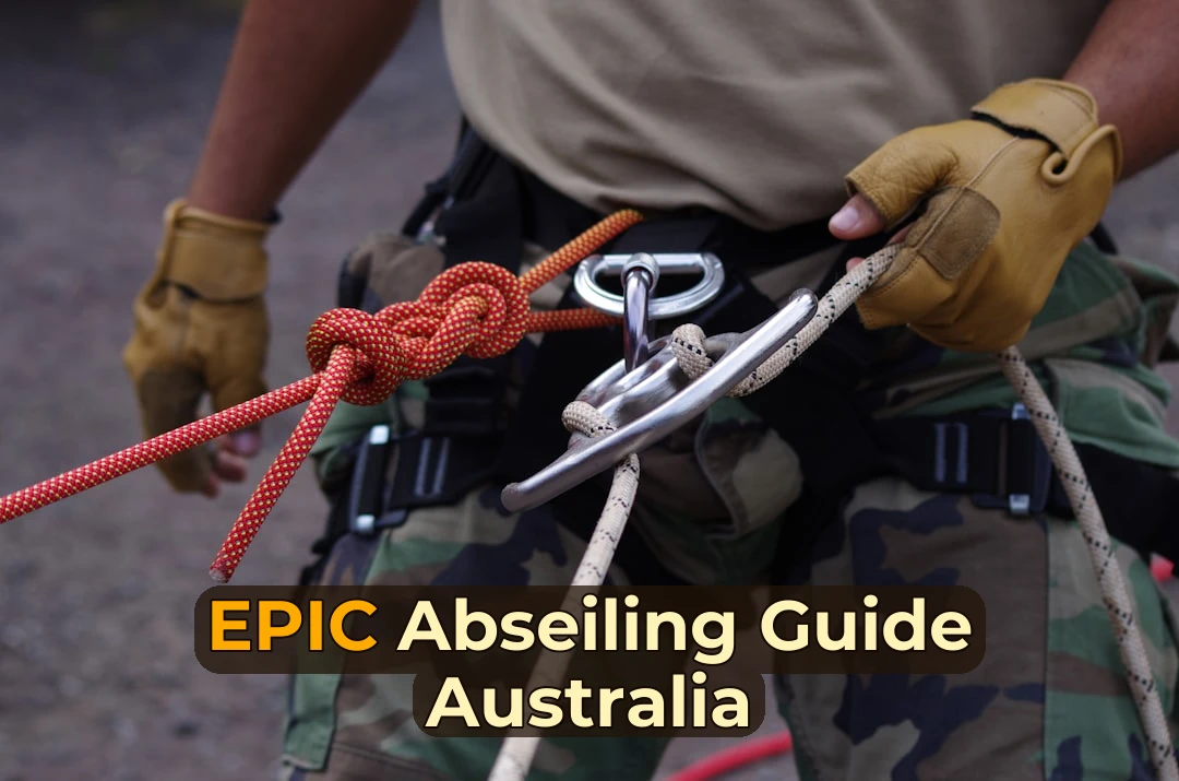 Abseiling in Australia: A Complete Beginner to Expert Guide