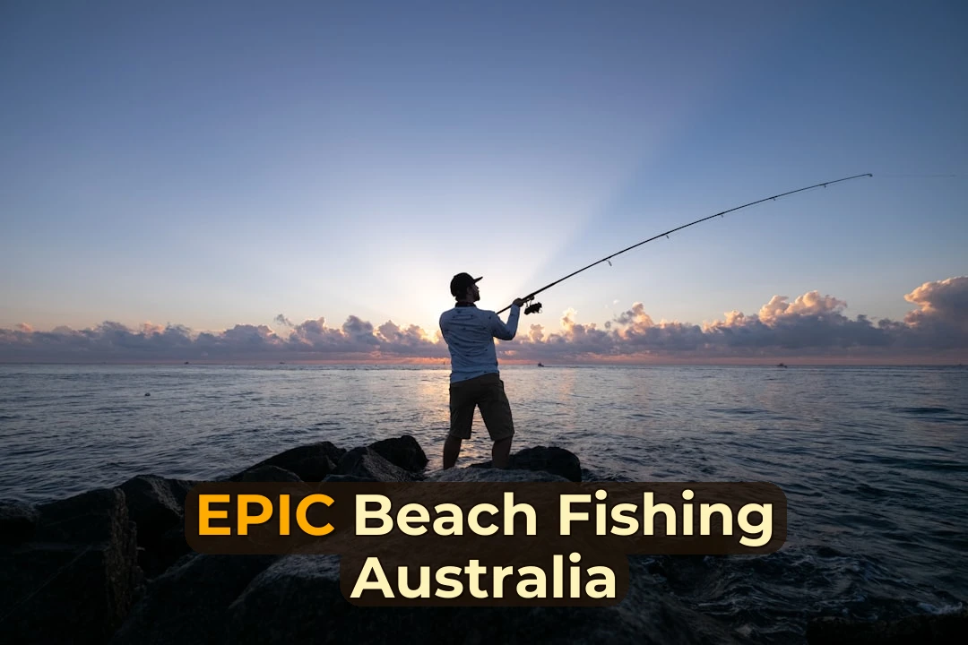 man in white t-shirt and brown shorts fishing on sea during daytime