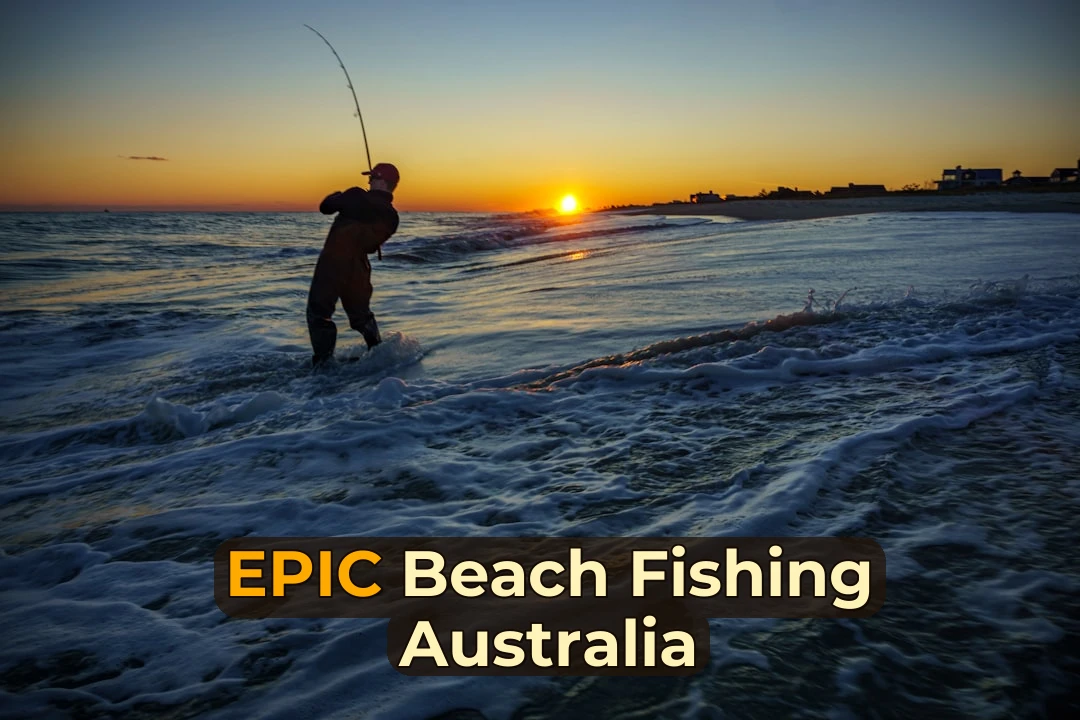 silhouette of man fishing on sea during sunset