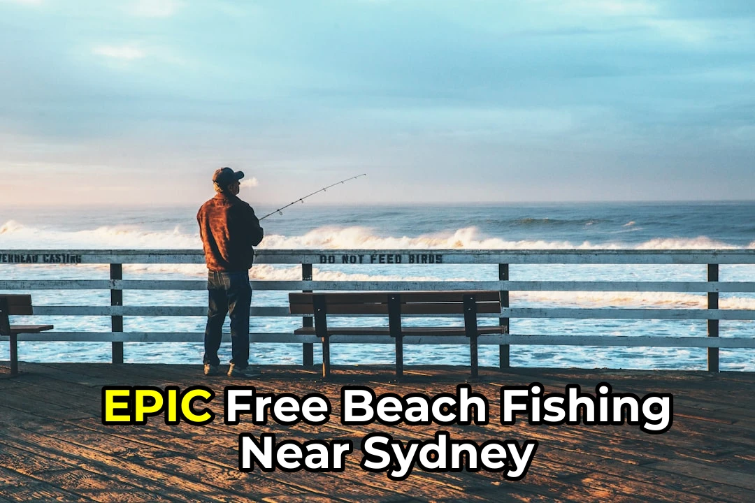 🎣 Best Free Beach Fishing Near Sydney: From Budget to Premium Spots! 🌊