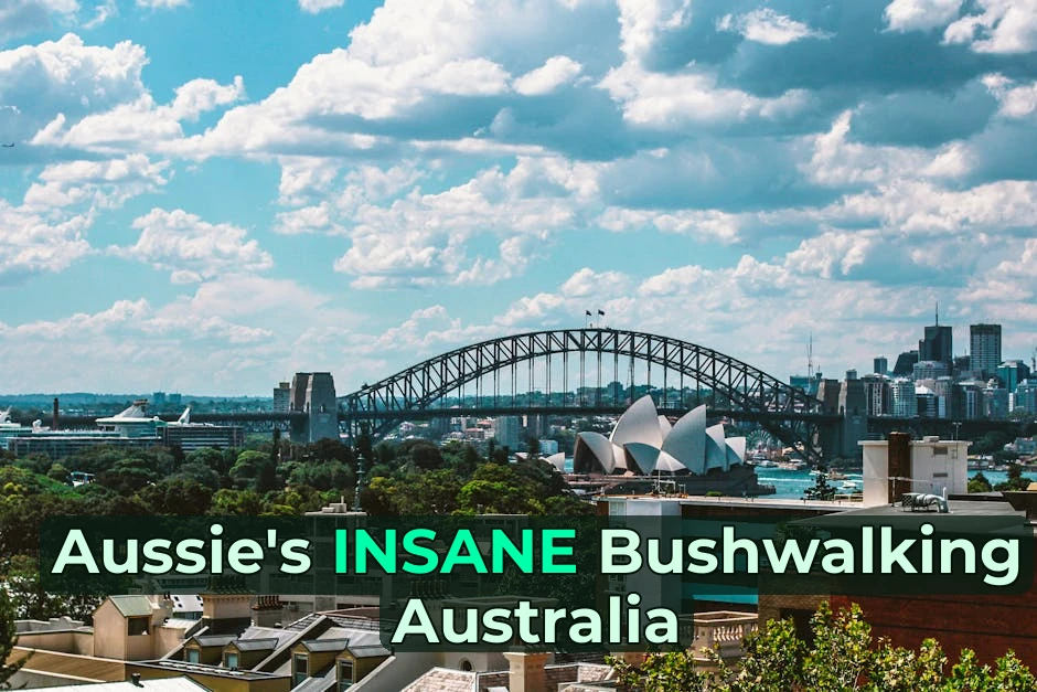 Stunning view of Sydney Harbour Bridge and Sydney Opera House on a sunny day, showcasing the vibrant cityscape.