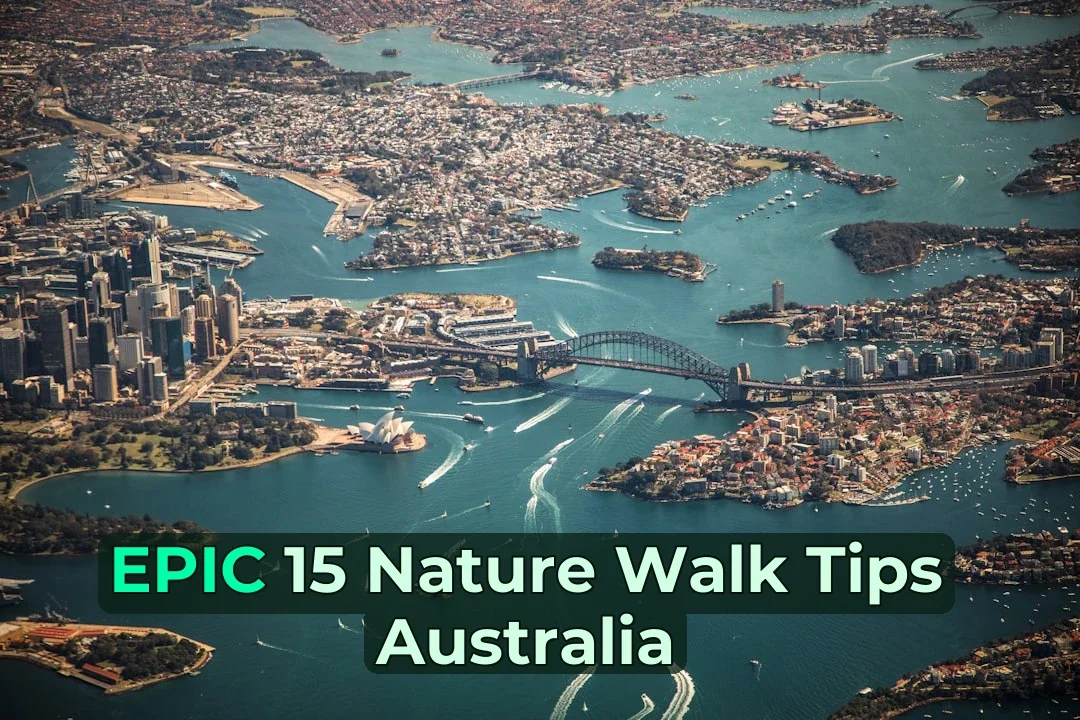 🌿 The car winds around the bend and suddenly you’re standing at the edge of an ancient eucalypt forest: Your Ultimate Guide to Australian Nature Walks!