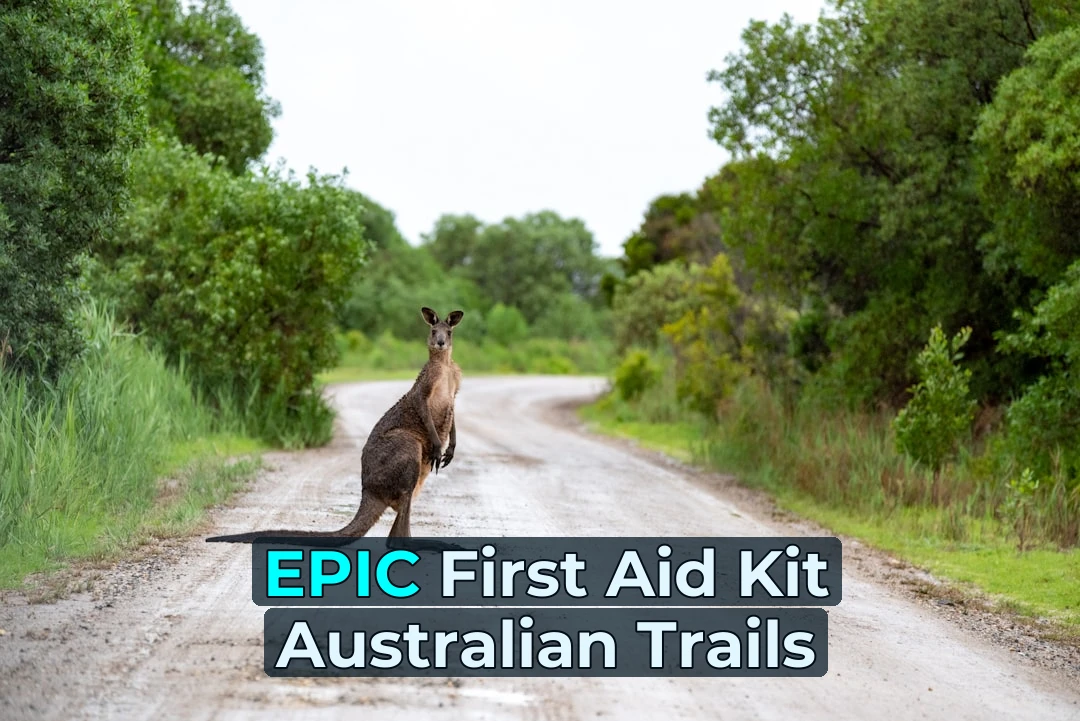 brown kangaroo on road during daytime