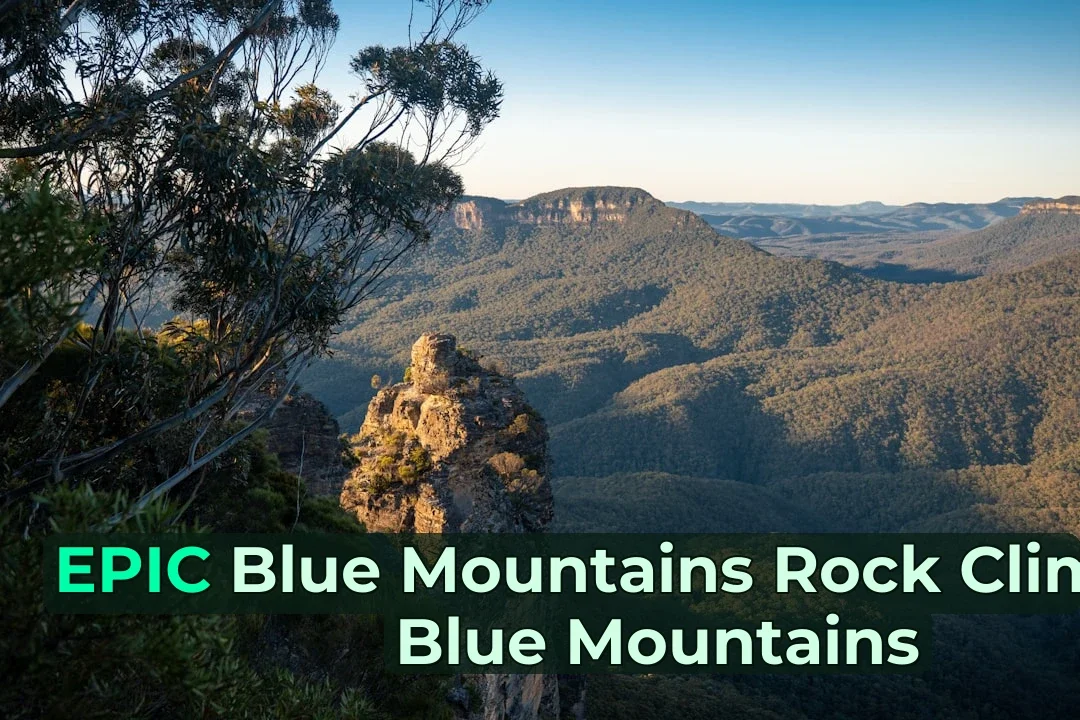 green trees on brown mountain under blue sky during daytime