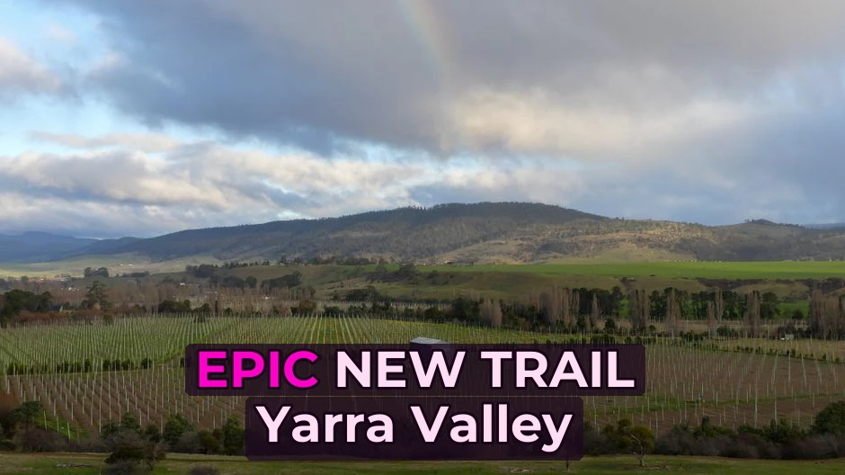 A scenic vineyard under a dramatic sky with rolling hills in the background, captured during the day.