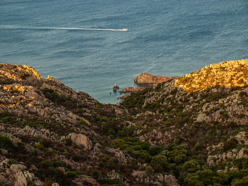 🏄‍♂️ Everything you need to know about Summer Surfing in Wilsons Promontory in one post! 🇦🇺