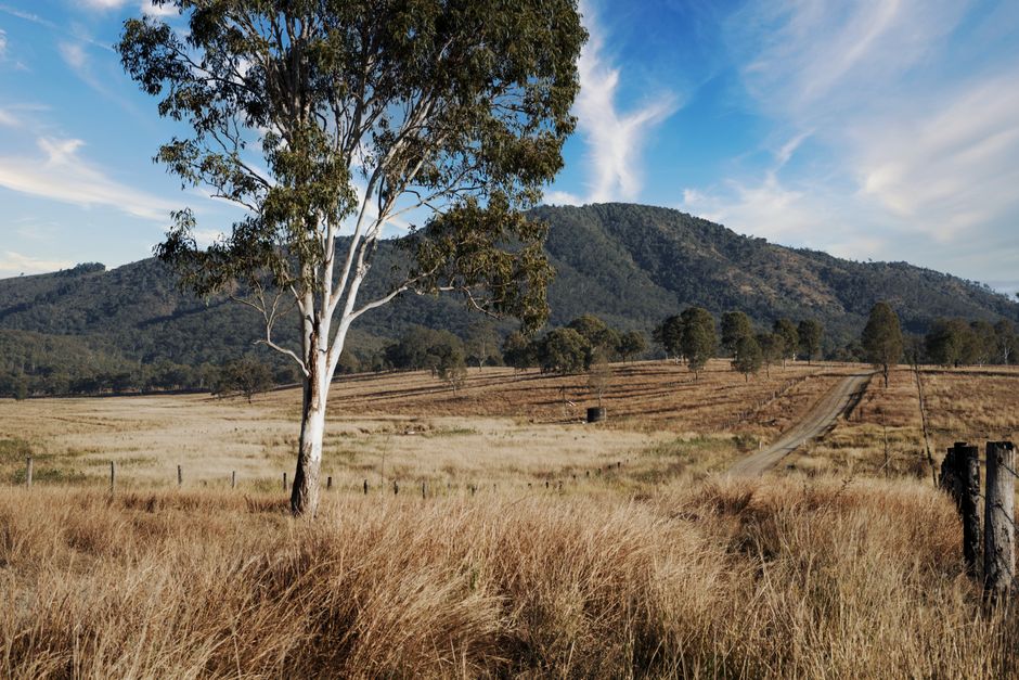 Central Queensland Coast Trail Running: Complete Area Guide