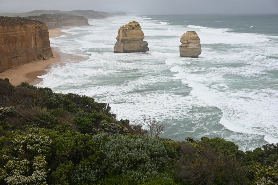 🚨 Heads up – new Great Ocean Road trail rules coming into effect! 🛑