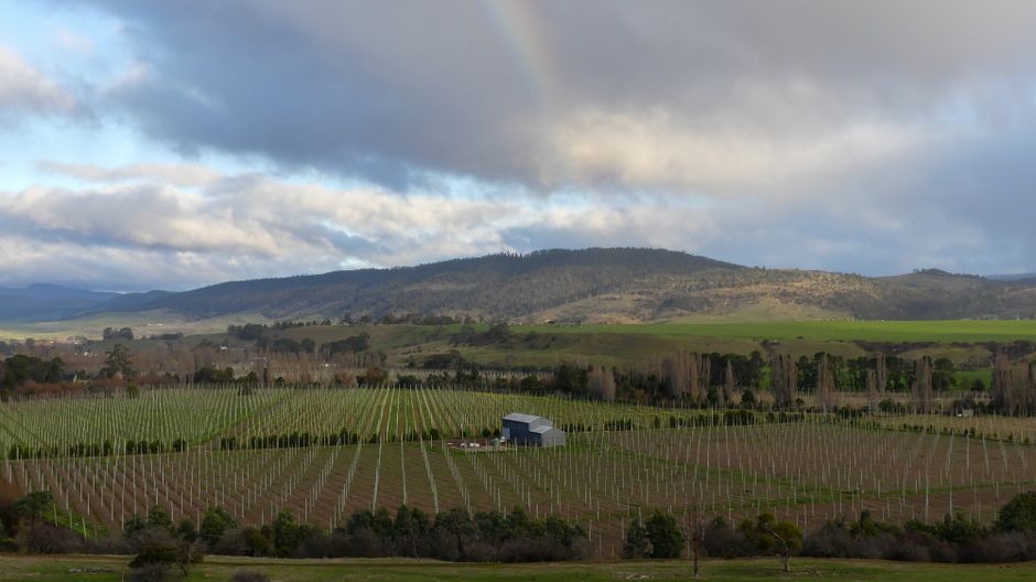 The Yarra Valley Autumn Glow: Your Ultimate Bike Touring Guide! 🍂🚴‍♂️