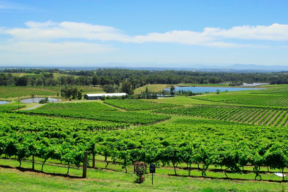 The Yarra Valley Autumn Glow: Your Ultimate Bike Touring Guide! 🍂🚴‍♂️