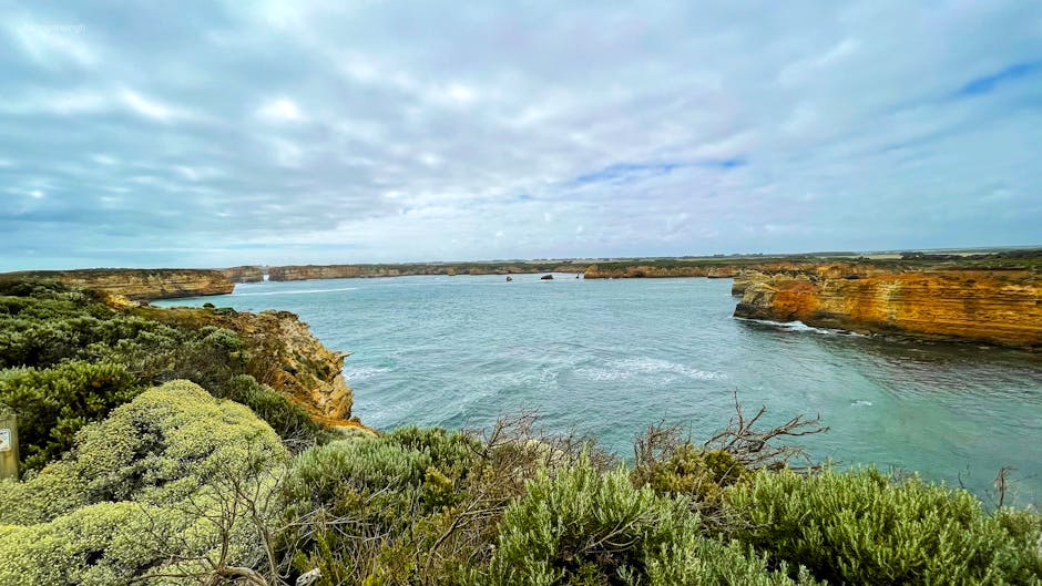 🏕️ Your First Camping in Great Ocean Road | What to Expect!