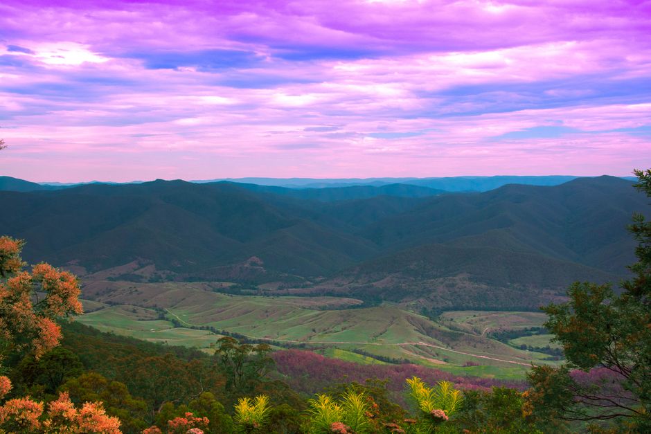 🚨 New Trail Opens in Yarra Valley: What to Know!