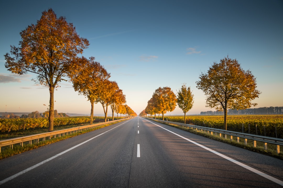 Road Trip in Australia: A Complete Beginner to Expert Guide