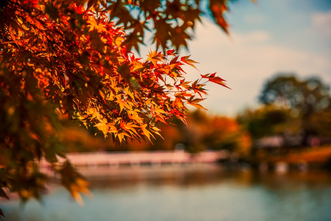 🍂 Autumn 2026 Arrives: The Ultimate Road Cycling Update! 🚴‍♂️