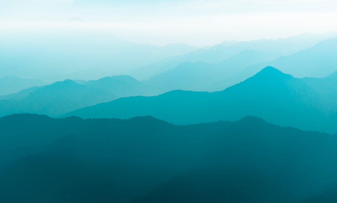 🍂 Autumn Bushwalking in Blue Mountains: The Ultimate Seasonal Guide!