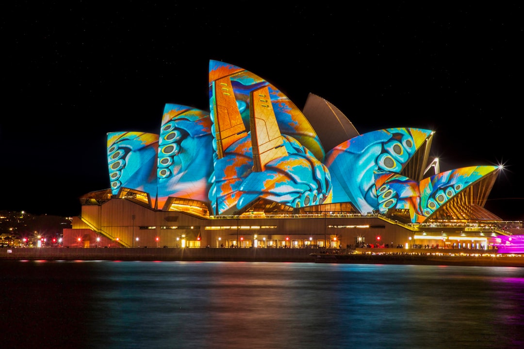 🦘 Spotting Koalas & Kangaroos! 🇦🆂 How I Mastered Aussie Wildlife Watching