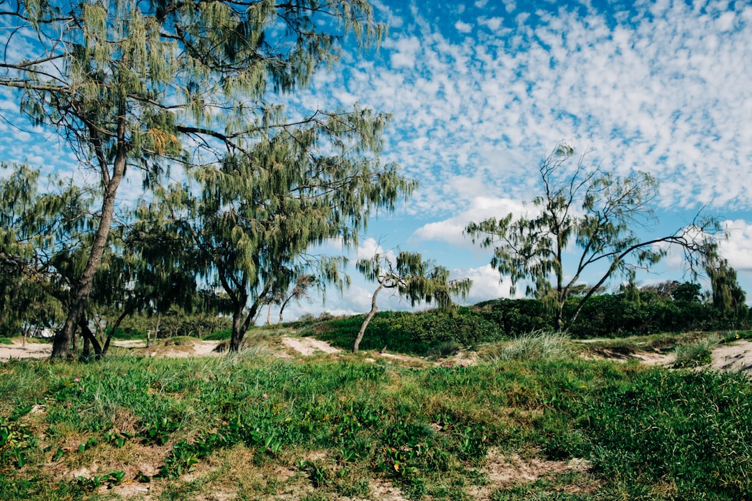 Complete Guide to Camping in Australia 2026