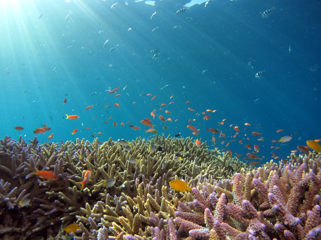 🐟 Did you know there are 1,500+ freshwater fish species in the GBR region? My 3-Day Fishing Itinerary!