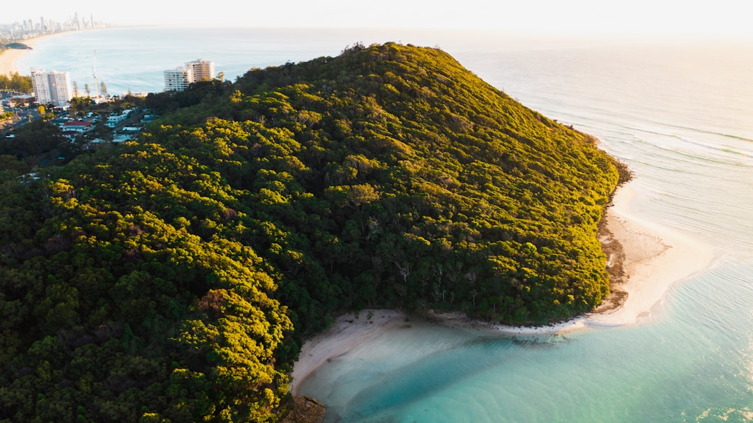 How to Plan Snorkeling in Queensland Coast | Step-by-Step