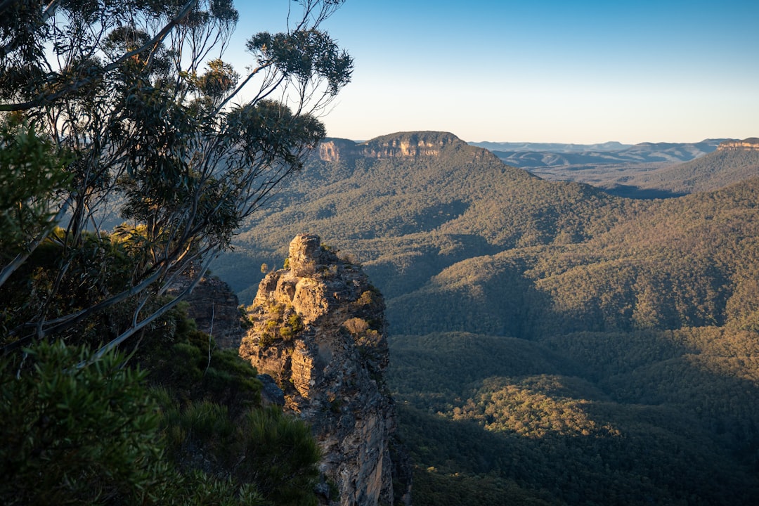 🎶 Mark your calendars – Blue Mountains Festival 2026 is coming! 🏔️