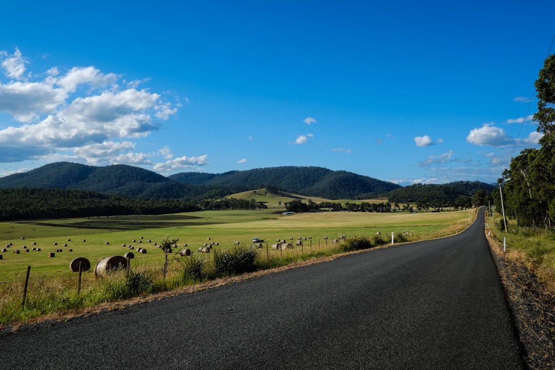 Road Trip in Australia: A Complete Beginner to Expert Guide