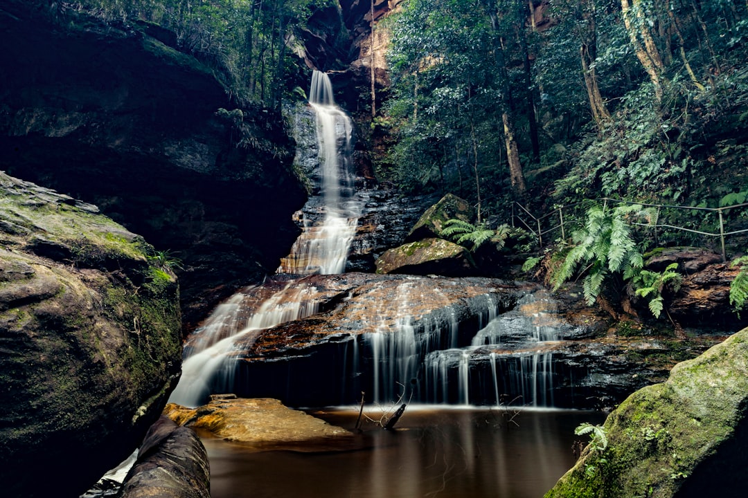 🍂 Autumn Bushwalking in Blue Mountains: The Ultimate Seasonal Guide!