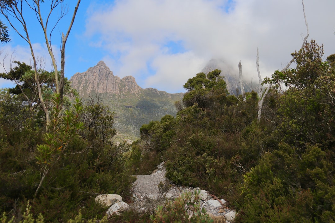 The Ultimate Australian Hiking Guide | Tips, Locations & More