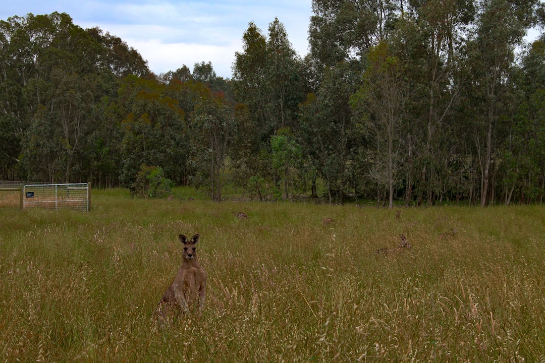 The Ultimate Australian Hiking Guide | Tips, Locations & More