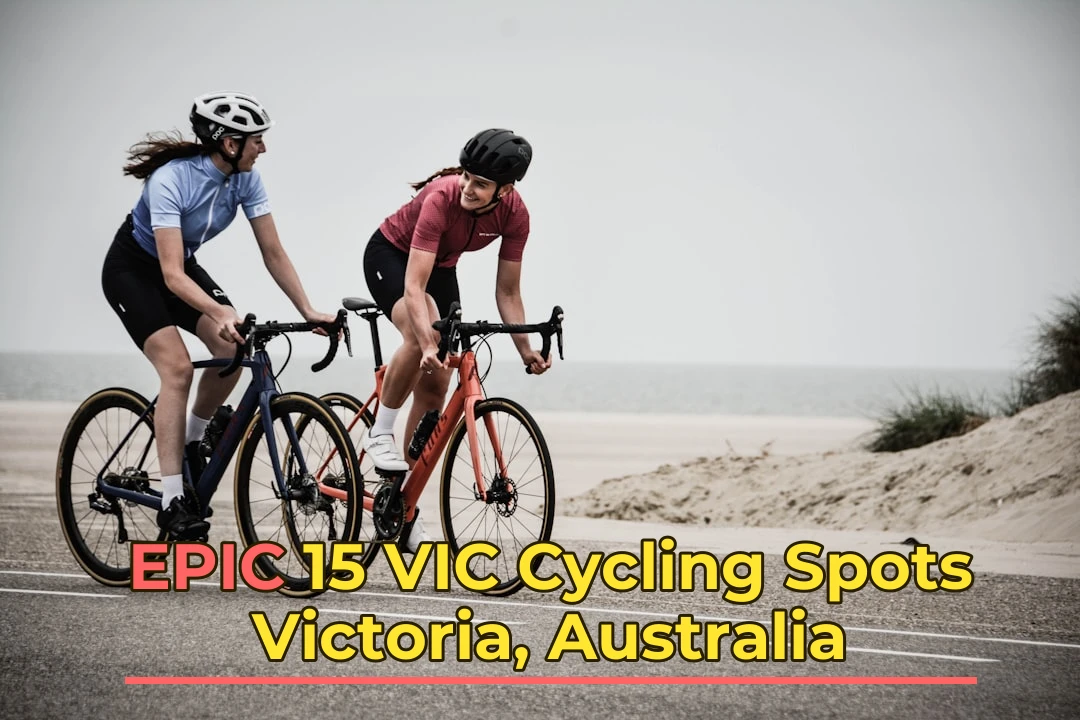 man and woman riding road bikes at the road near shore