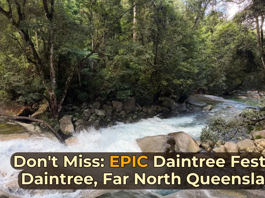 Capture of a cascading stream in Daintree National Park's lush rainforest, abundant with greenery.