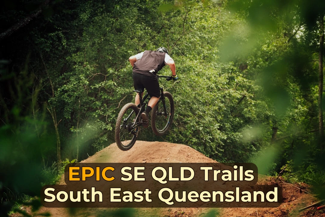 man in black jacket riding black mountain bike on brown dirt road between green trees during