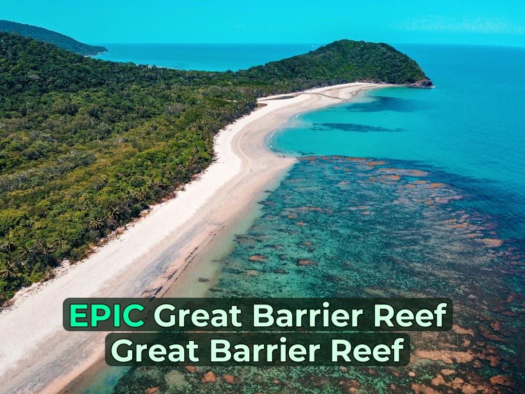🤿 Ever wondered what it’s like to breathe underwater at the Great Barrier Reef? Everything you need to know about Great Barrier Reef Scuba Diving in one post!