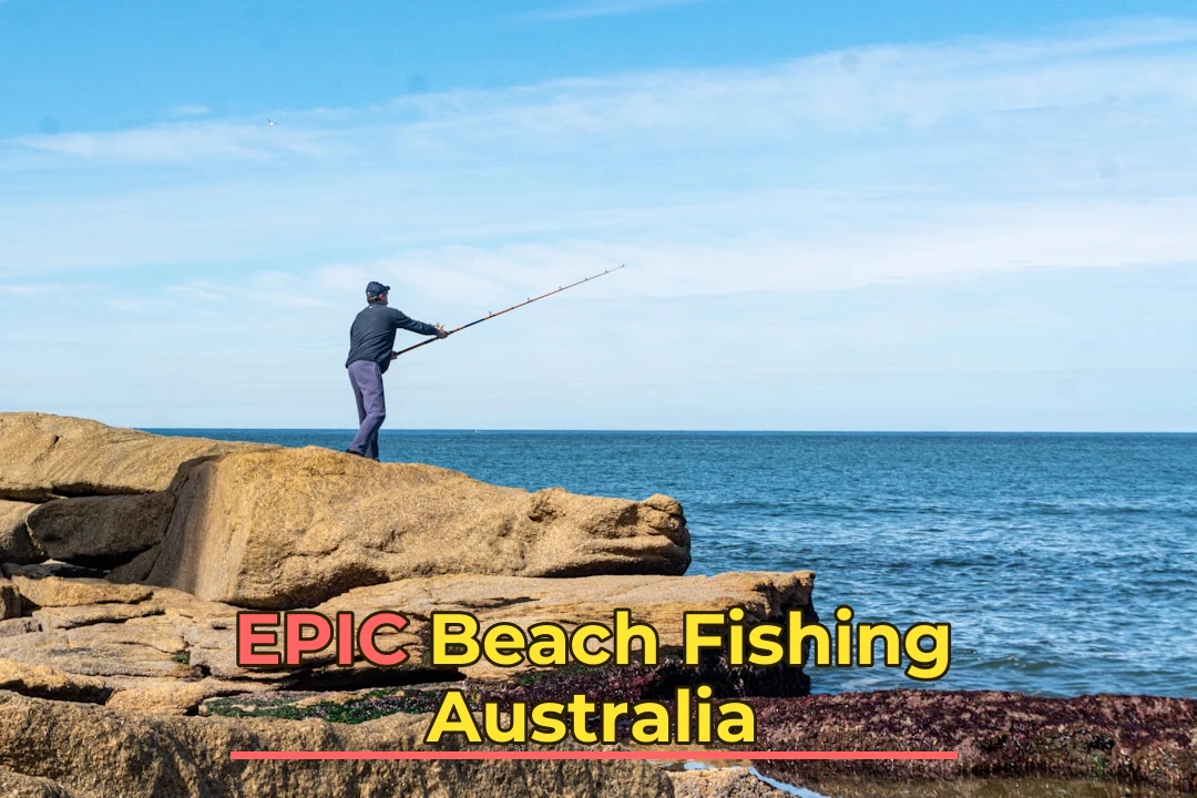 Beach Fishing Spring Guide for Australia