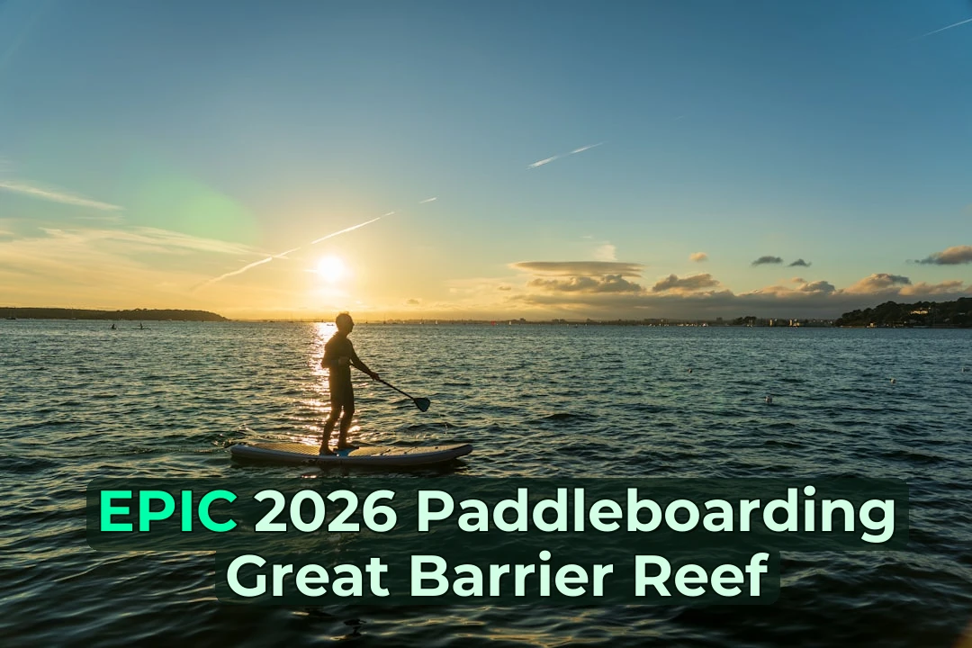 🏄‍♂️ Over 3,000km of Reef: How to Paddleboard Like a Local in 2026! 🌊