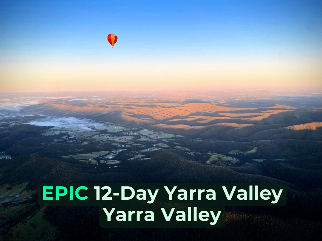 red hot air balloon flying over green field during daytime