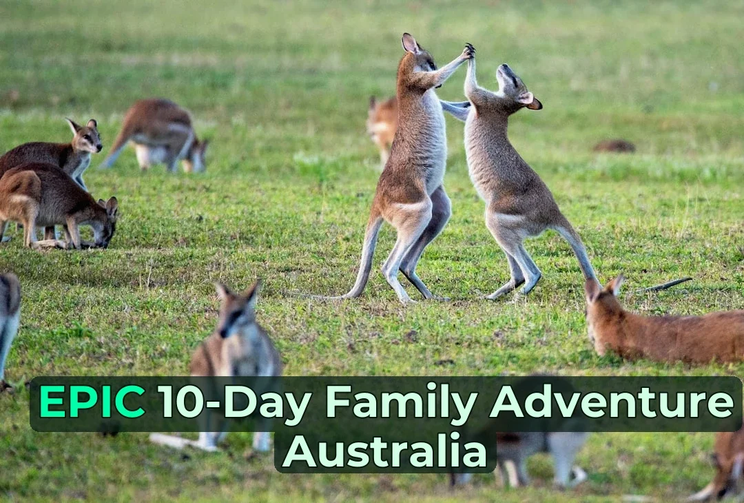 The car winds around the bend and suddenly… 🚗💨 10-Day Aus Family Gravel Adventure!