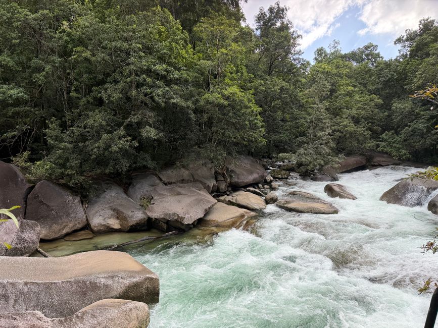 🌿 Ever Wondered What It’s Like to Celebrate Nature in the Daintree? The 2026 Festival is Here!
