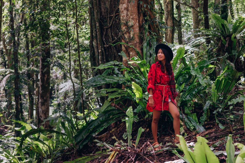 🌿 Ever Wondered What It’s Like to Celebrate Nature in the Daintree? The 2026 Festival is Here!