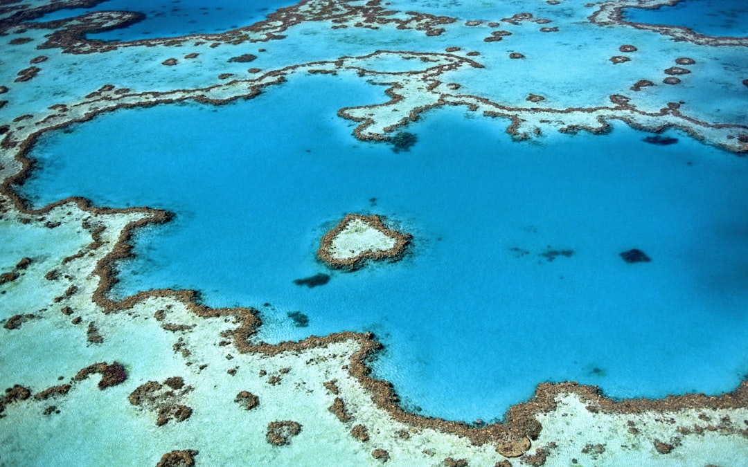 🤿 Ever wondered what it’s like to breathe underwater at the Great Barrier Reef? Everything you need to know about Great Barrier Reef Scuba Diving in one post!