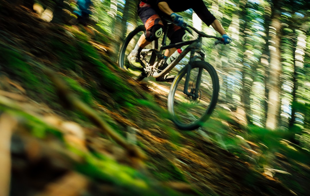 Mountain Biking Spring Guide for South East Queensland