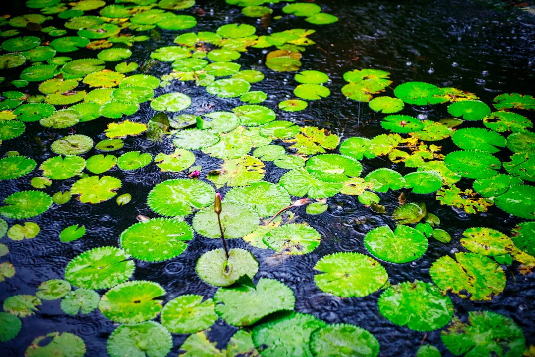 Best Time for Photography in Far North Queensland | Monthly Breakdown
