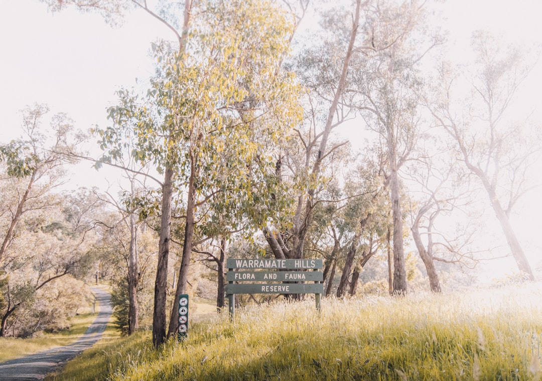 🏞️ The crisp morning air hits your face as you stand at the edge of the Yarra Valley… 12-Day Family Adventure Itinerary!
